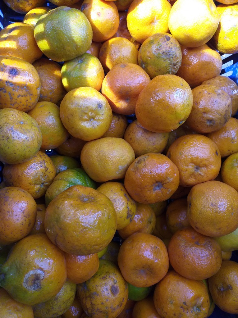Mandarina oneca