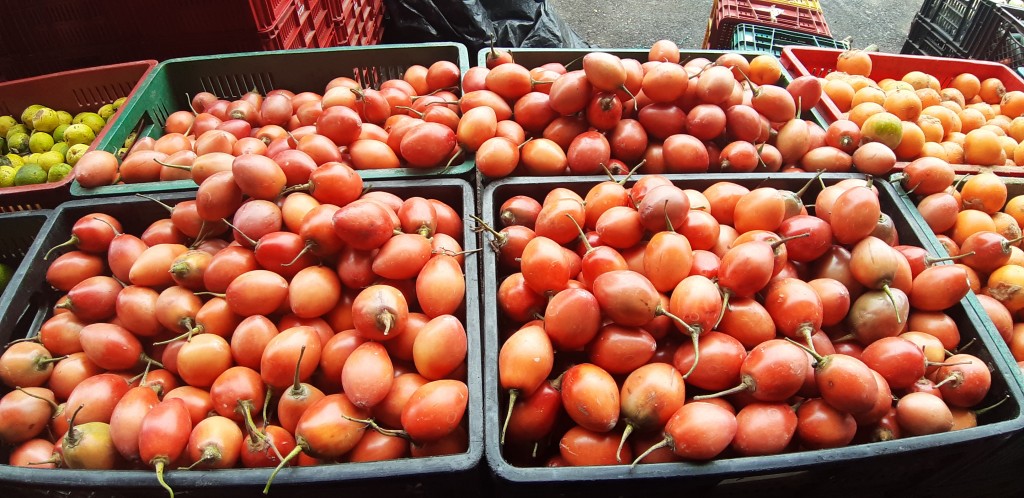 Tomate de árbol