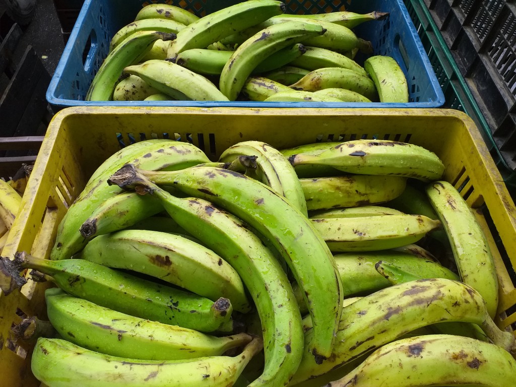 Platano verde