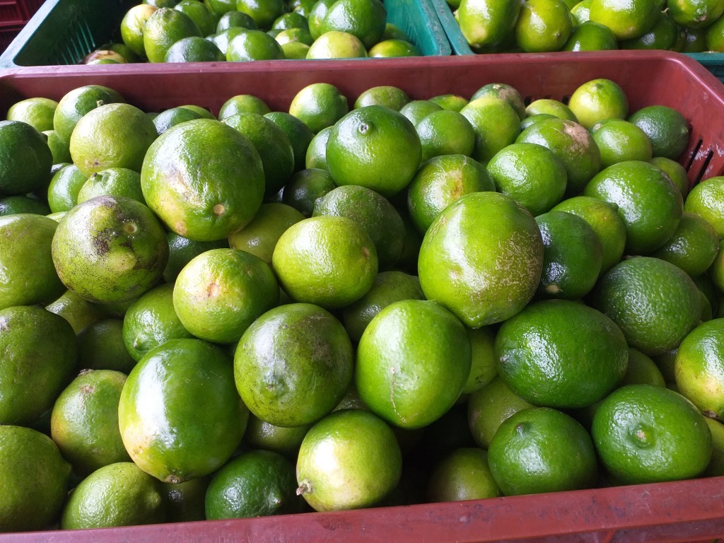 Limon tahiti