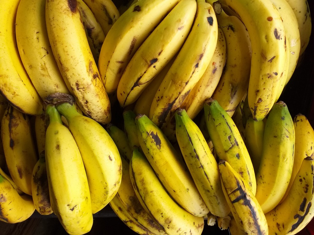Banao criollo