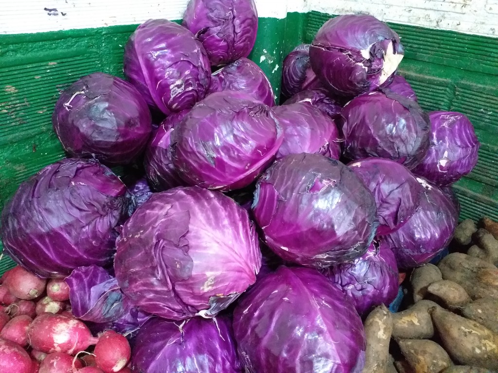 Repollo morado