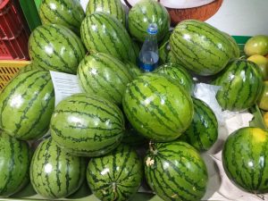 Sandia baby