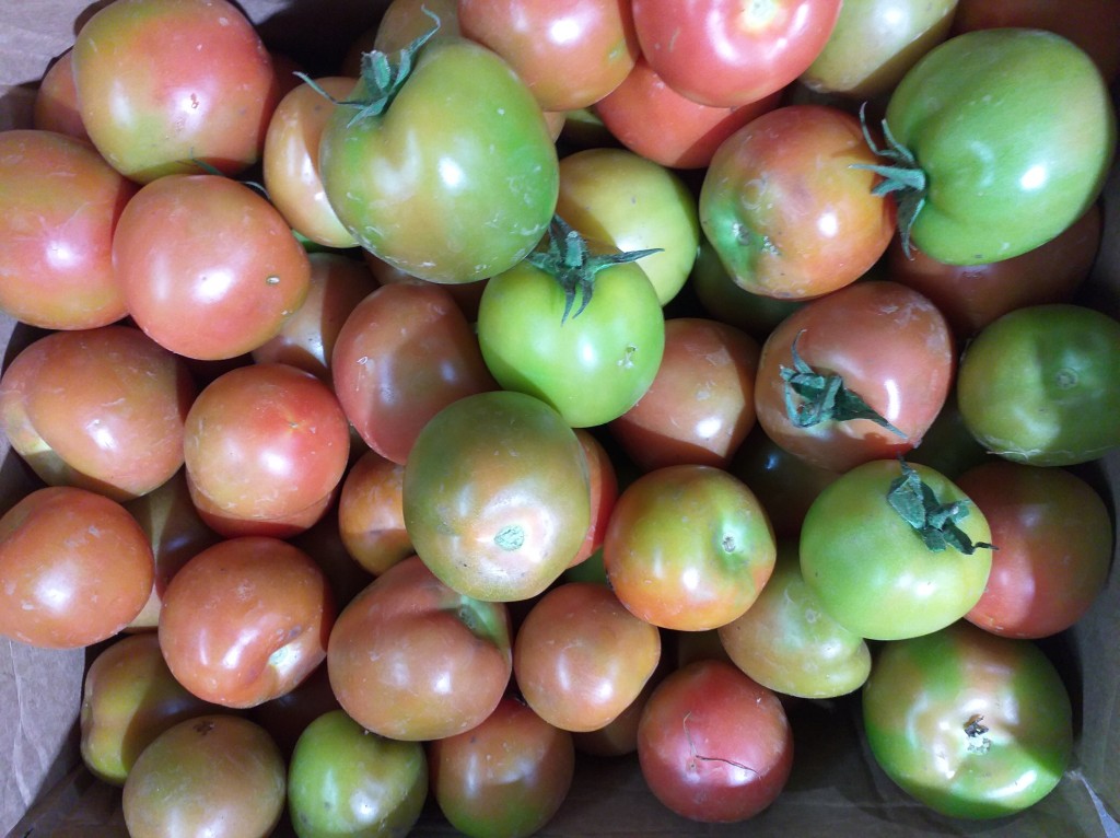 Tomate extra