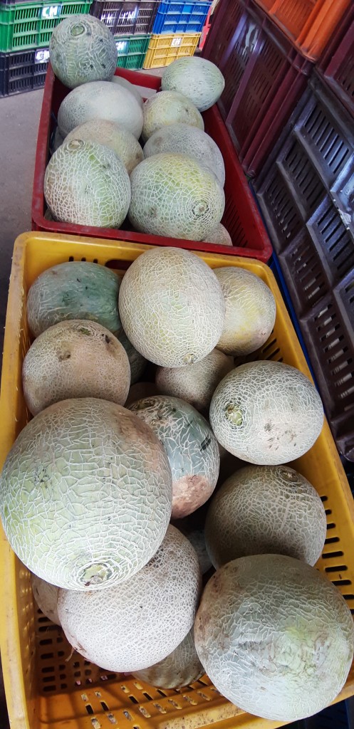 Melón