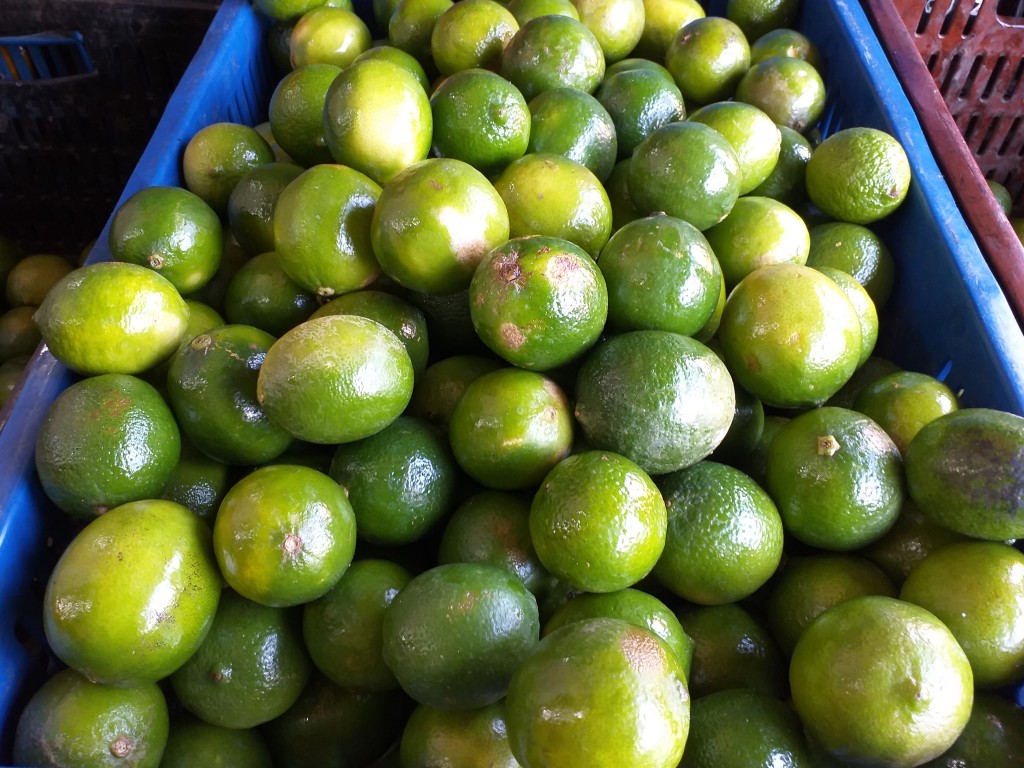 Limon tahiti