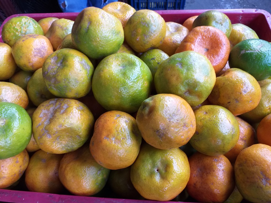 Mandarina Oneca