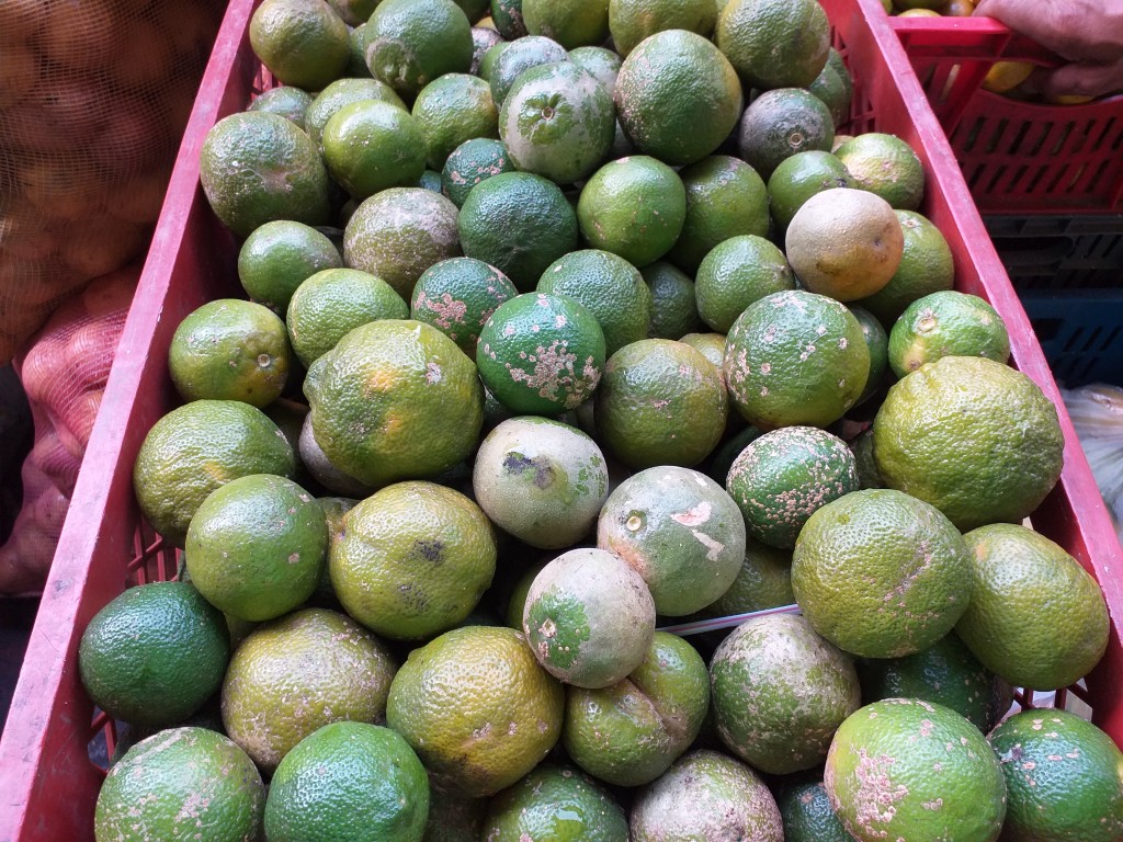 Limon Mandarino