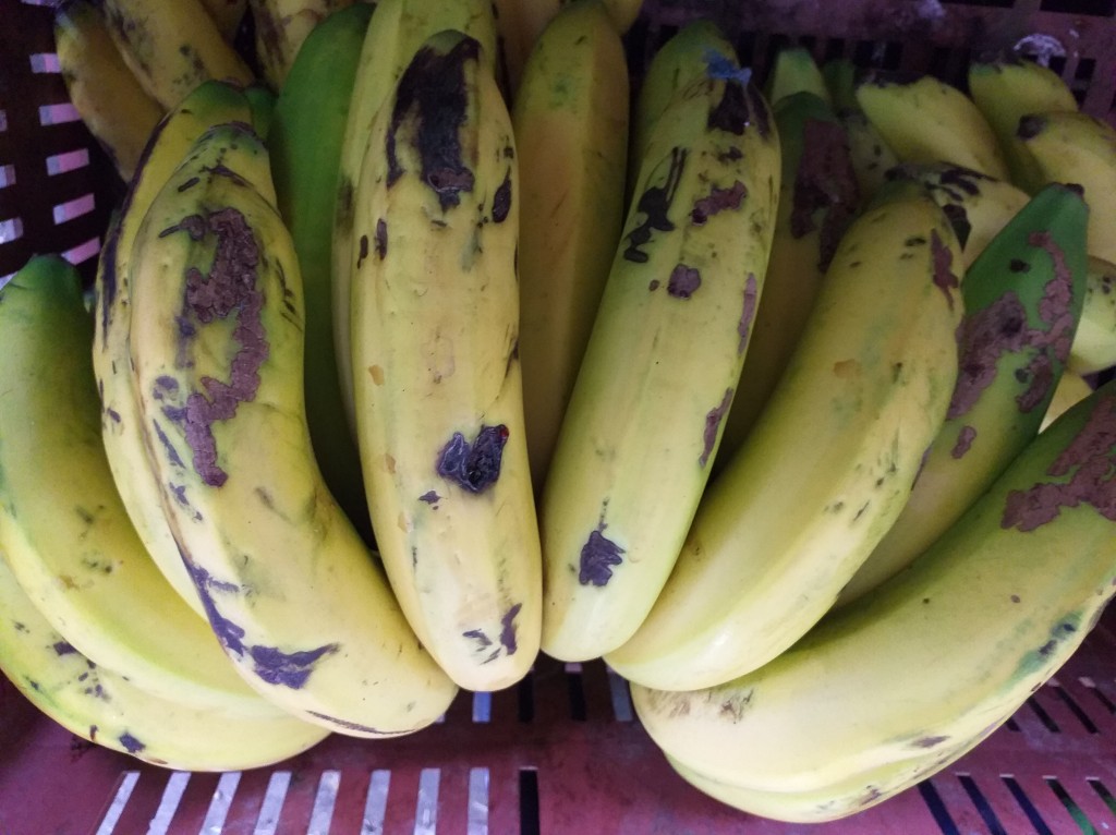Banano