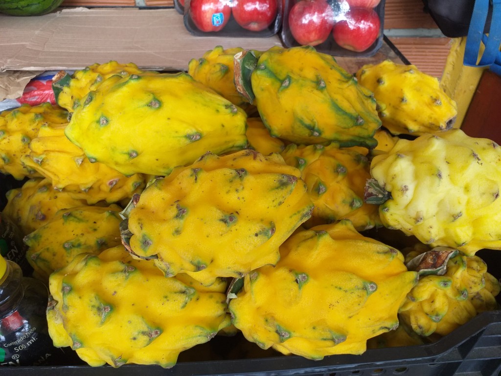 Pitaya