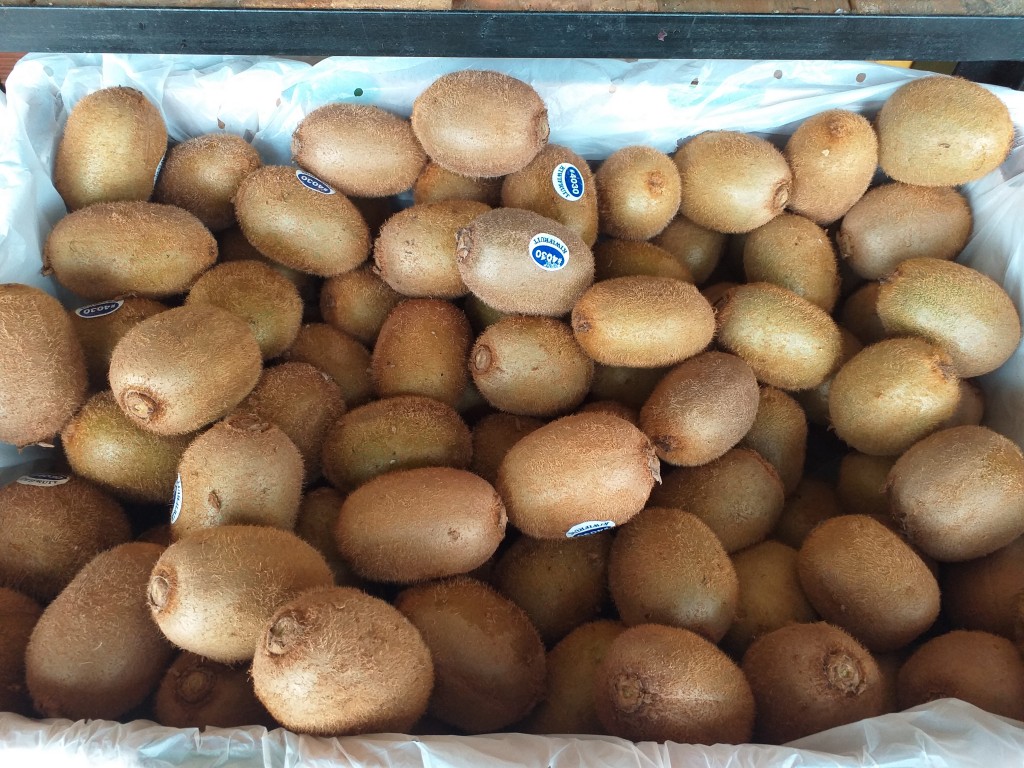 Kiwi