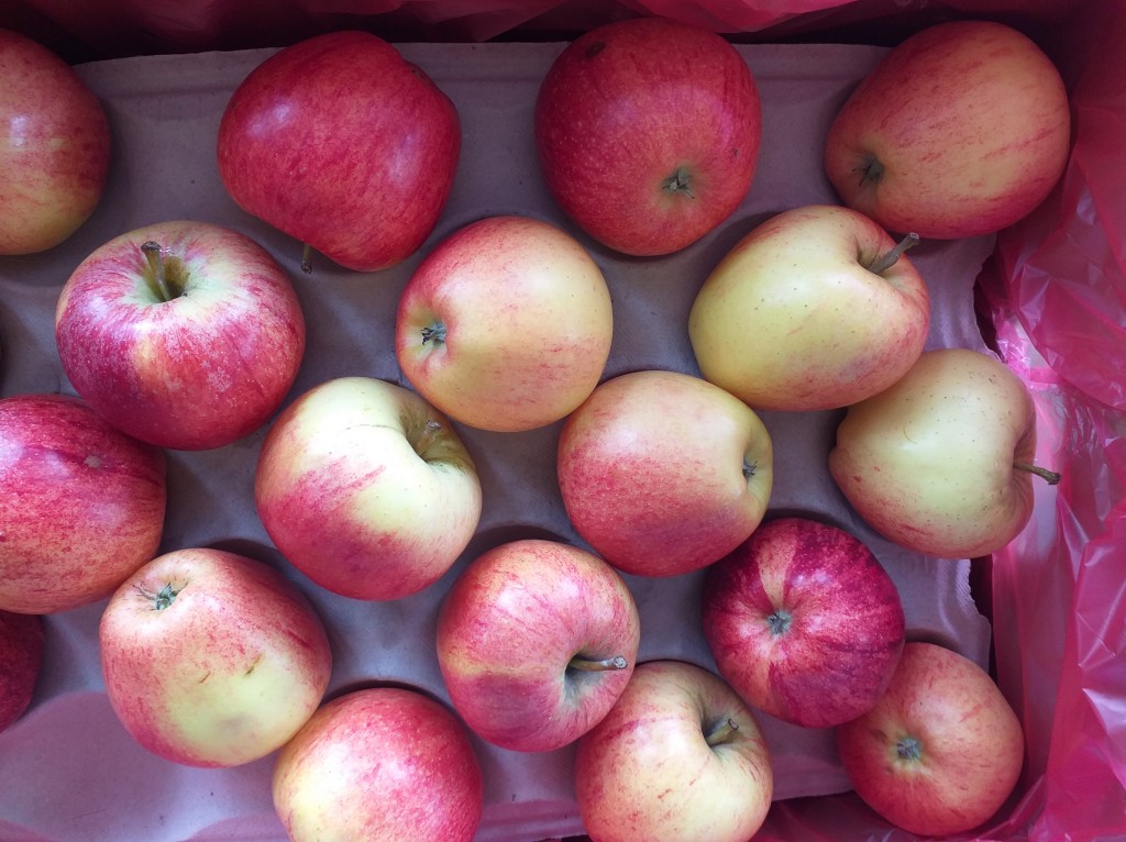 Manzana Gala
