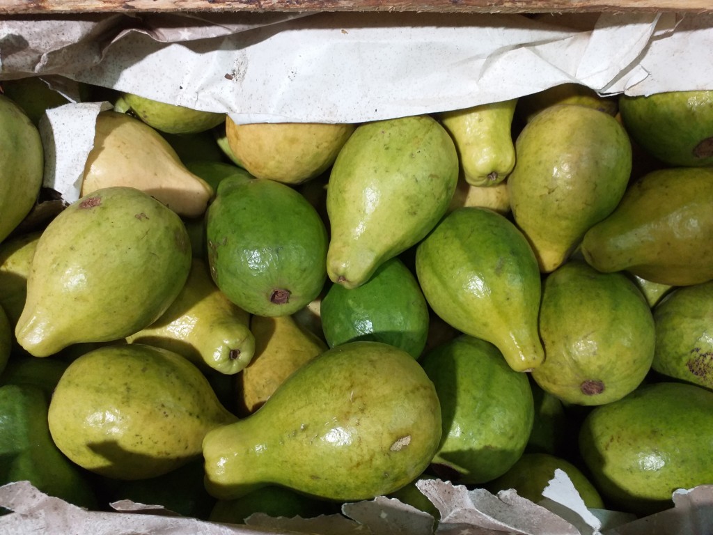 Guayaba extra
