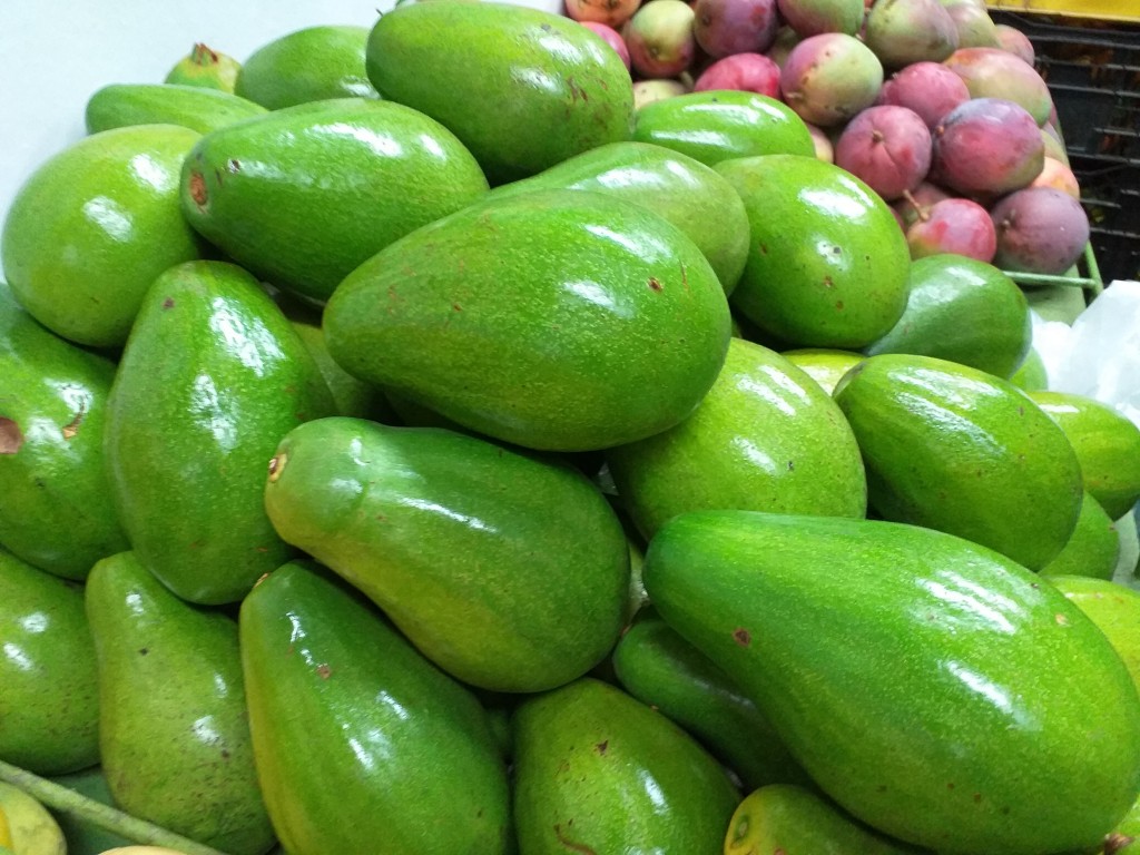 Aguacate papelillo