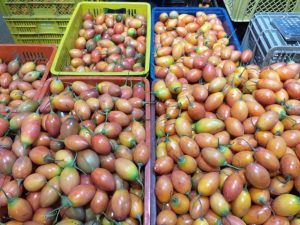 Tomate de arbol