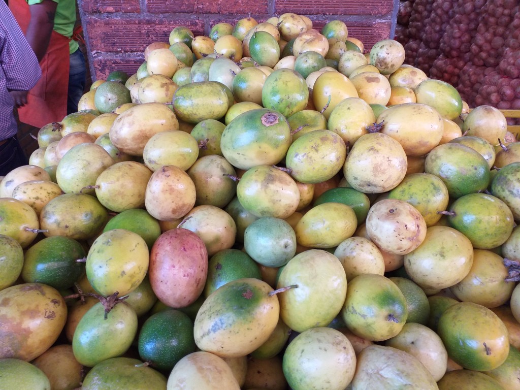 Maracuya primera