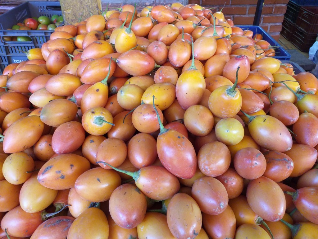 Tomate arbol