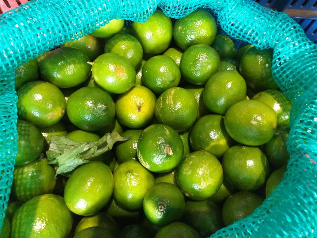 Limon tahiti