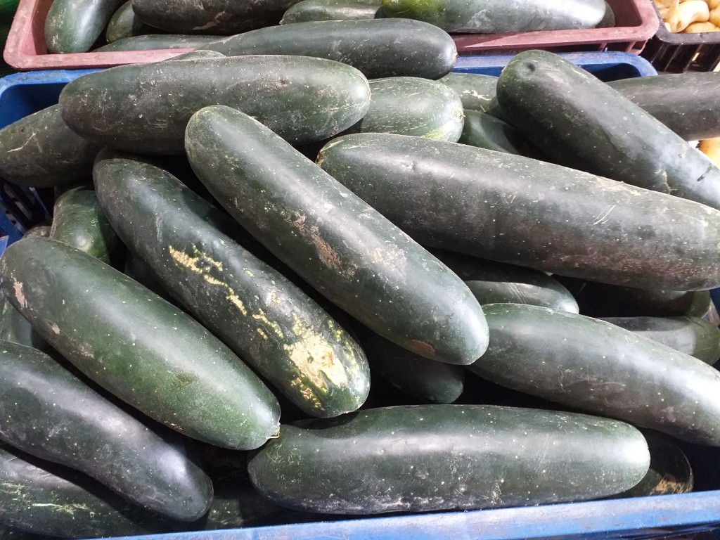 Pepino cohombro