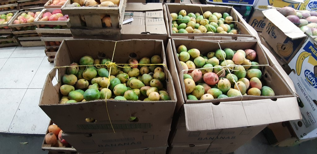 Mango azúcar x 25 kg