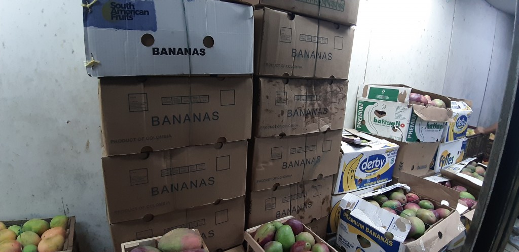 Mango criollo x 25 kg