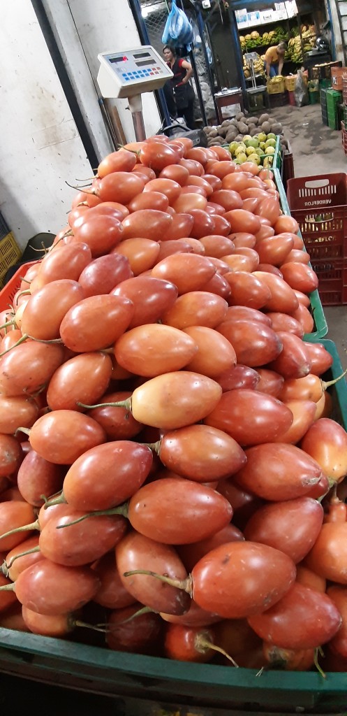 Tomate de árbol 1ra