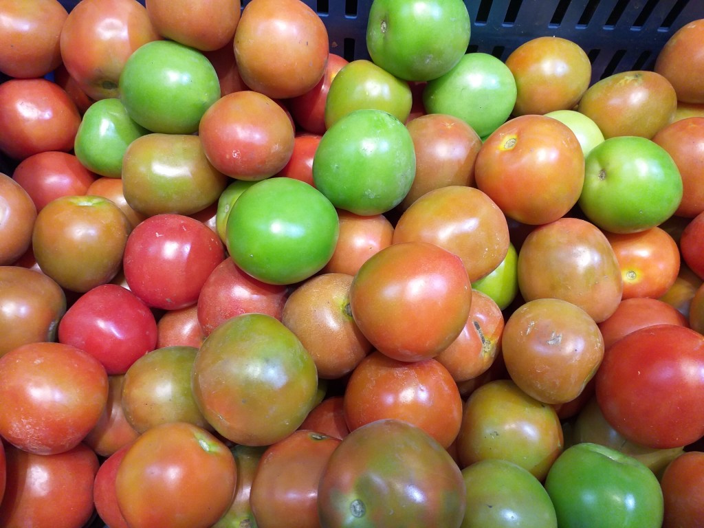 Tomate de primera