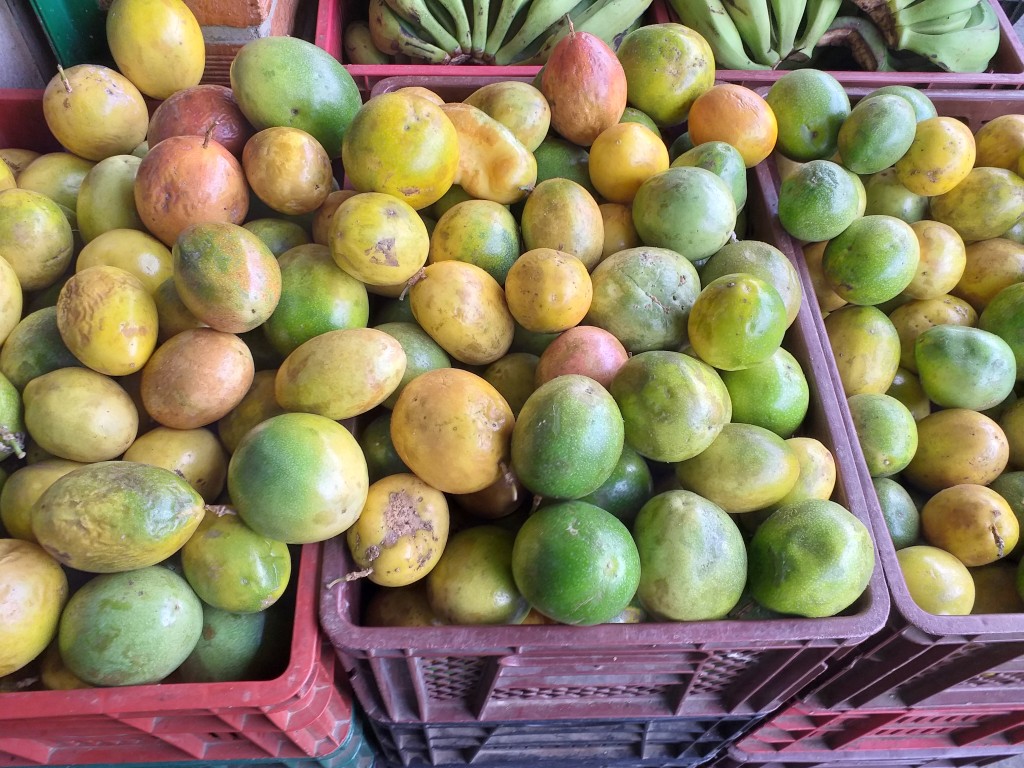 Maracuya de primera