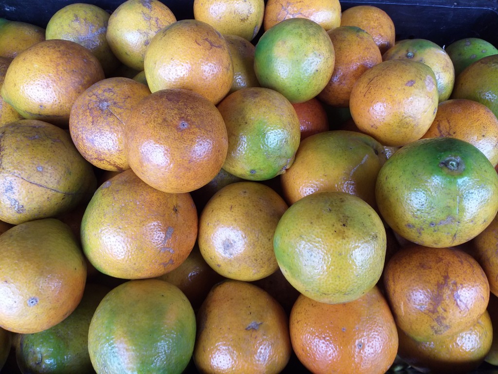 Naranja Tangelo