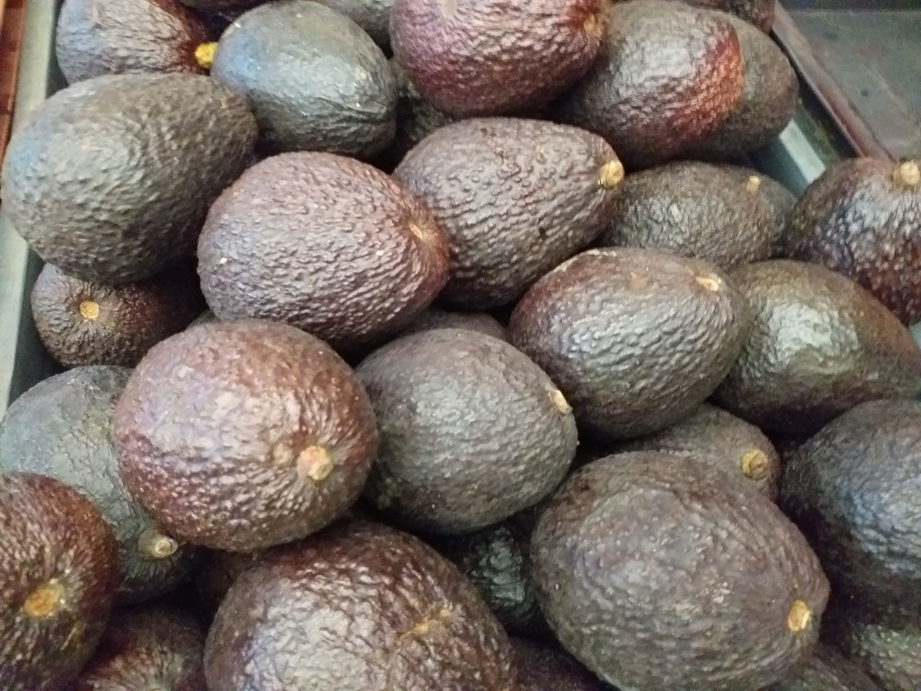 Aguacate hass
