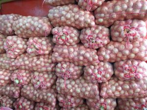 Cebolla de huevo blanca