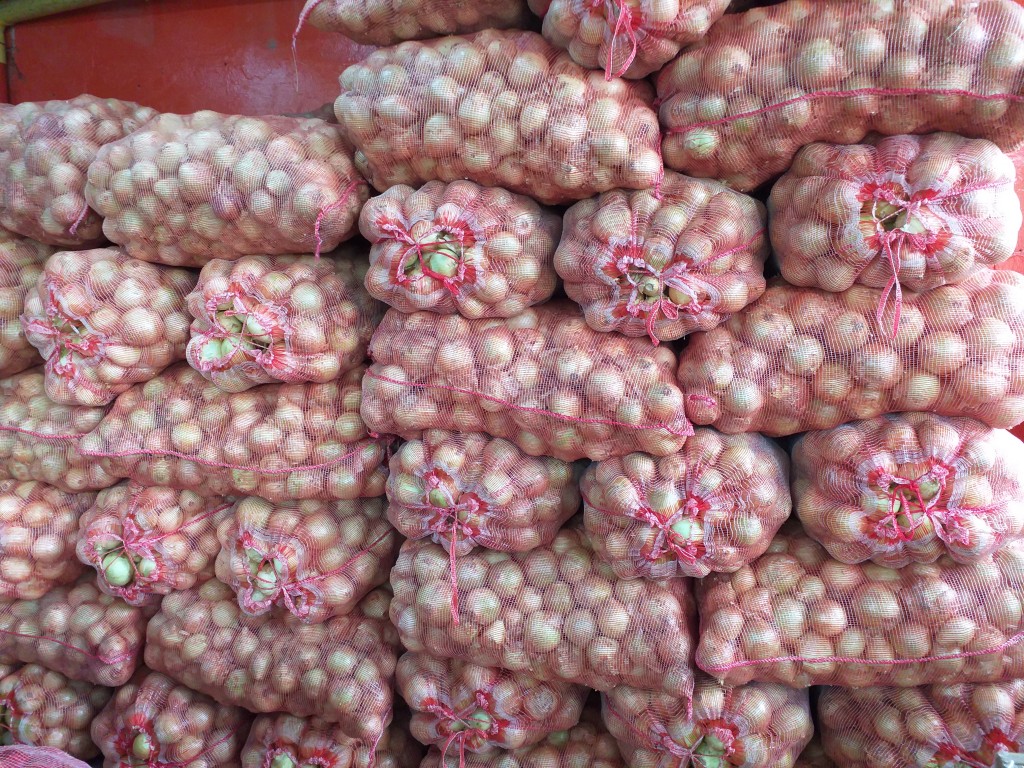 Cebolla de huevo blanca