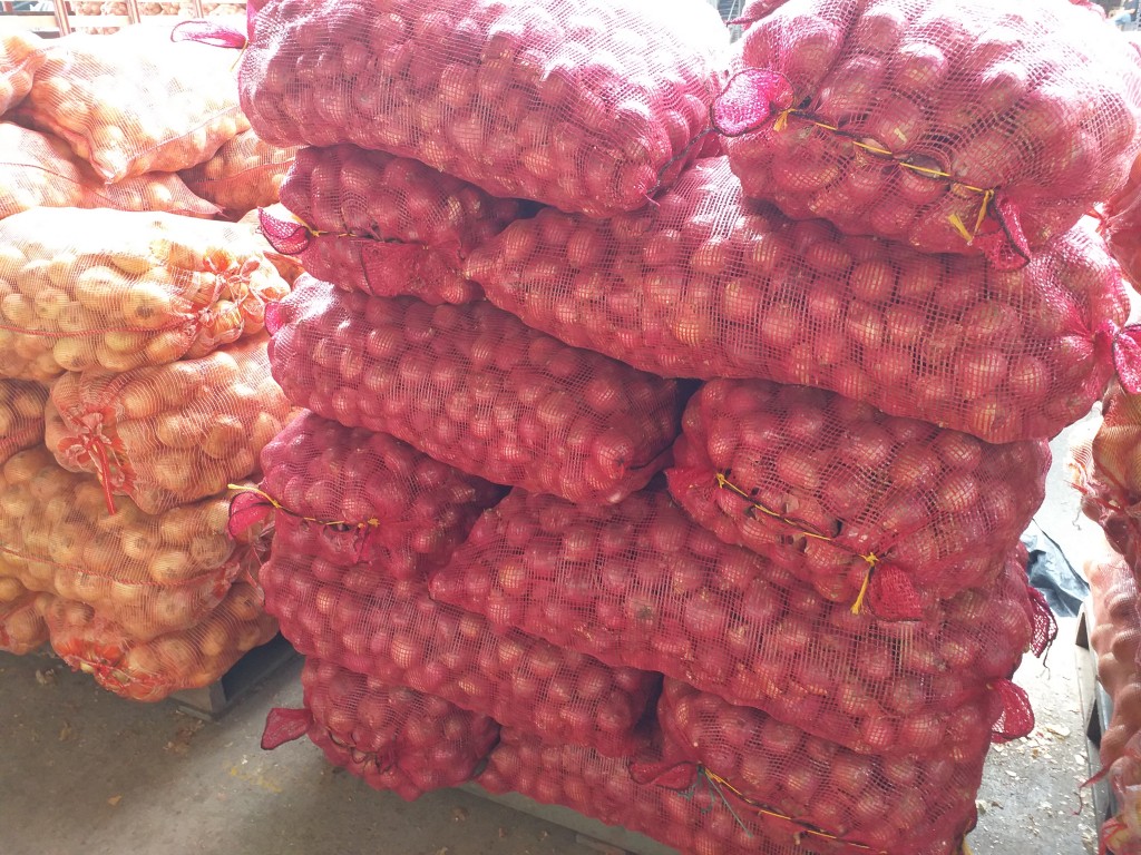 Cebolla huevo roja