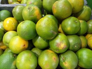 Naranja valencia