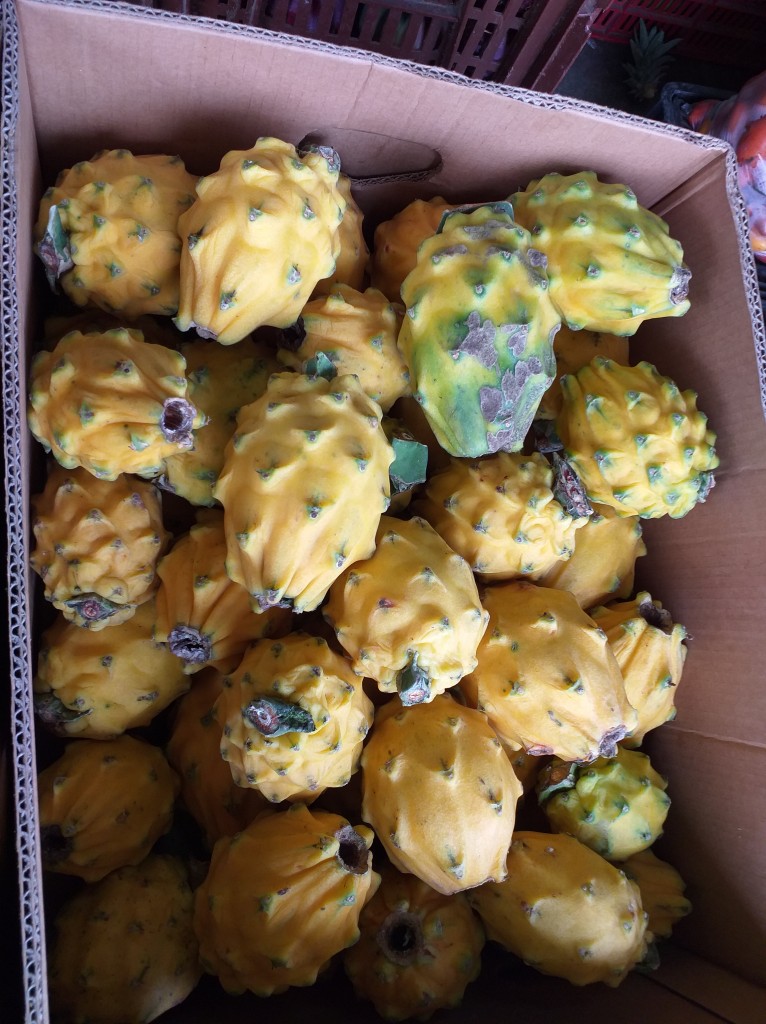Pitaya