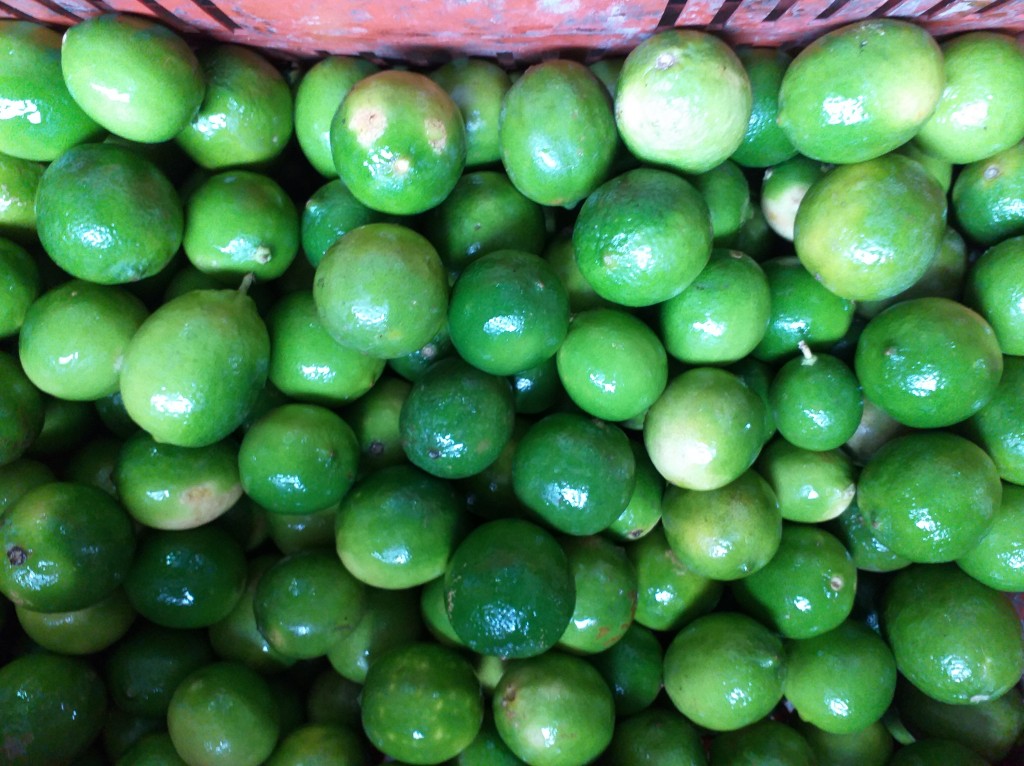 Limon tahiti