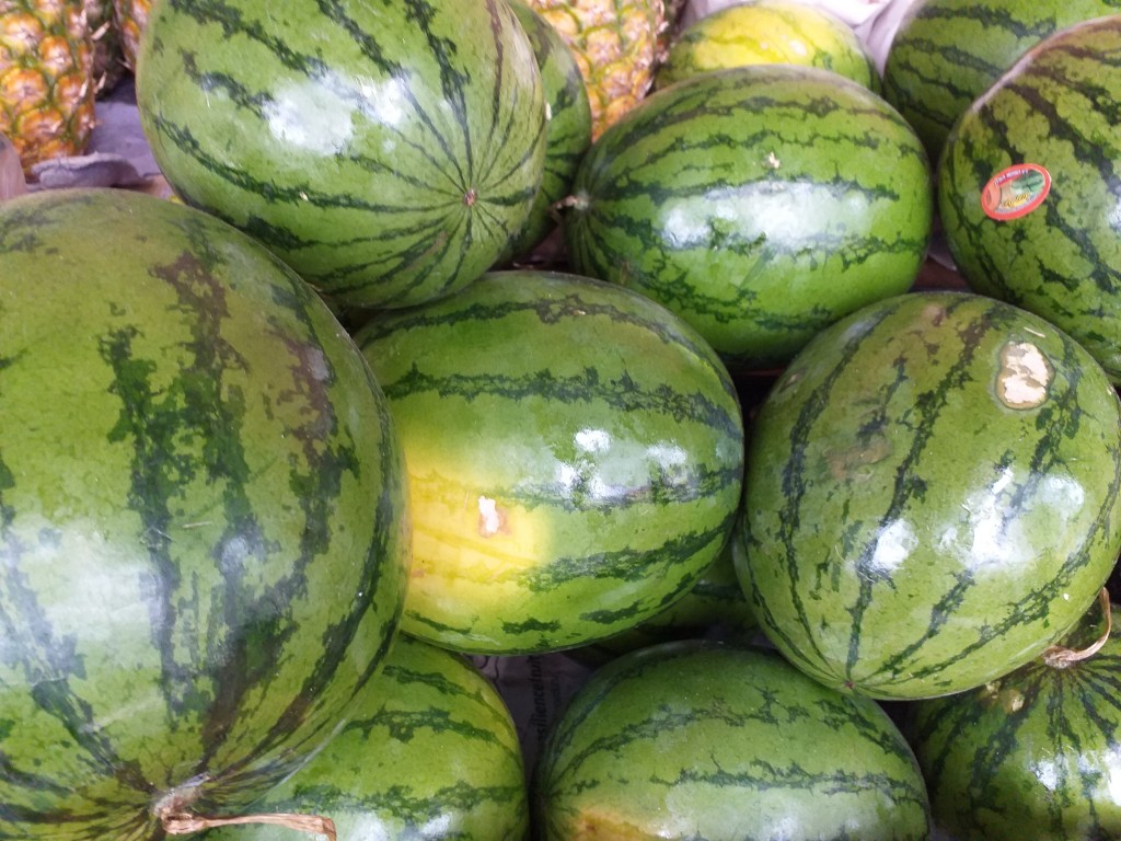 Sandia baby