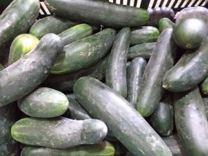 Pepino cohombro