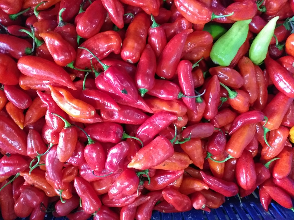 Aji Dulce