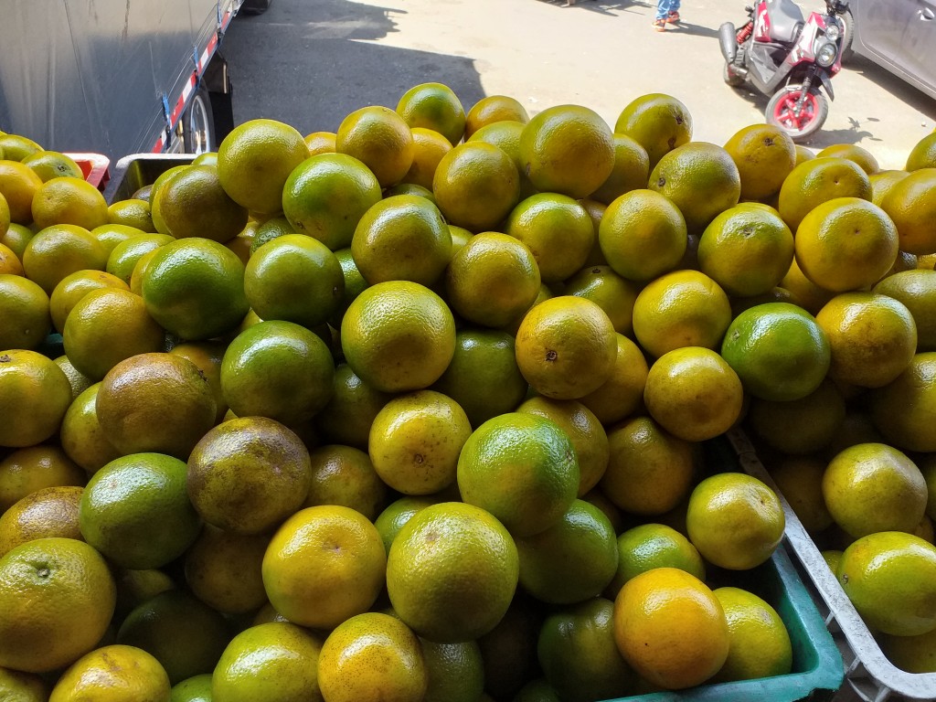 Naranja Valencia