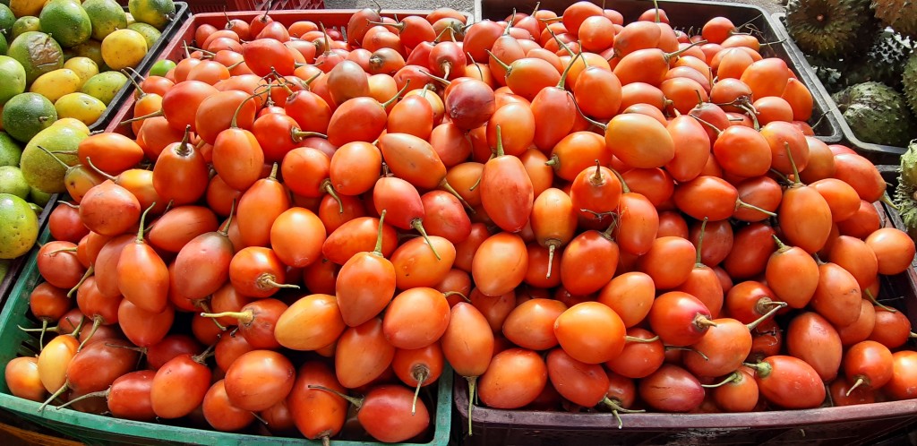 Tomate de árbol 1ra