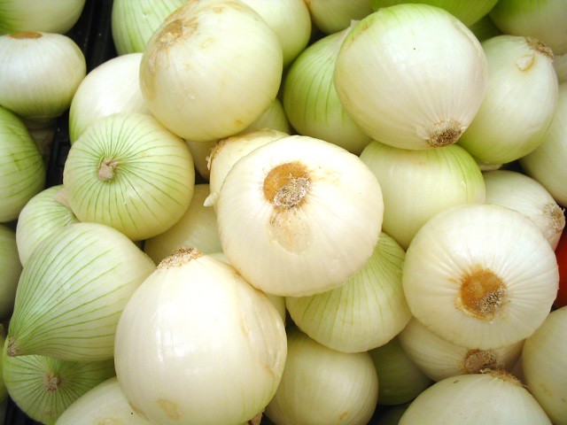 Cebolla cabezona blanca