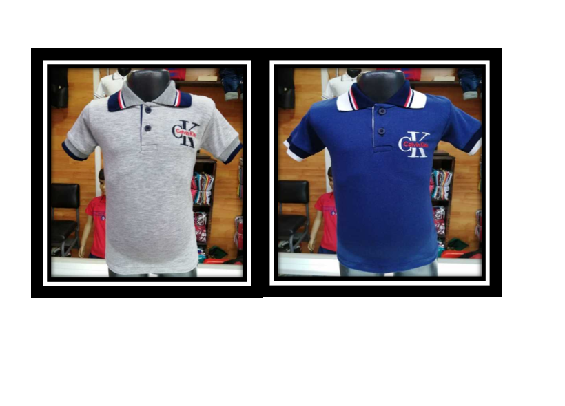 Camisa polo caballero