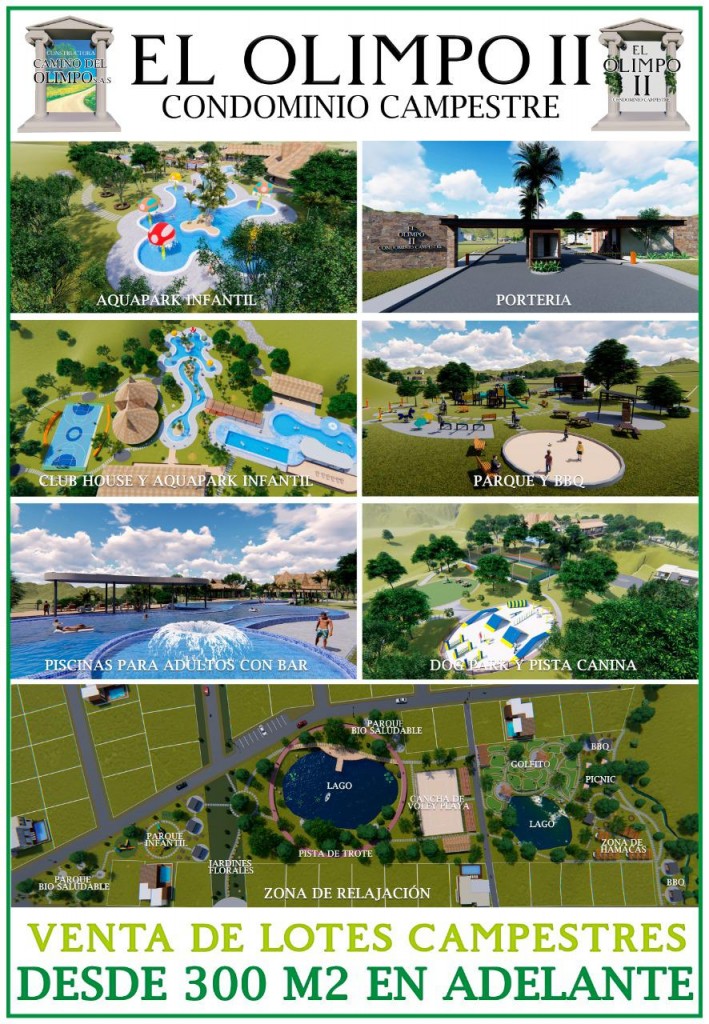 Lote condominio privado Carmen de Apicalá Olimpo