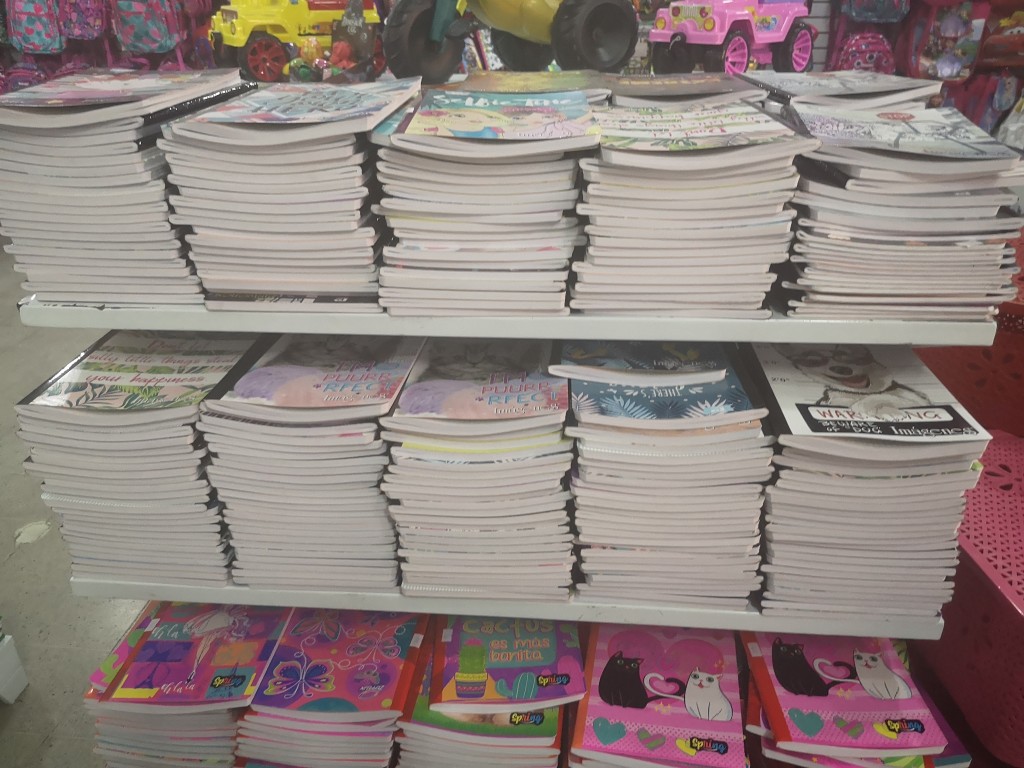 Cuaderno básico grande 100 hojas