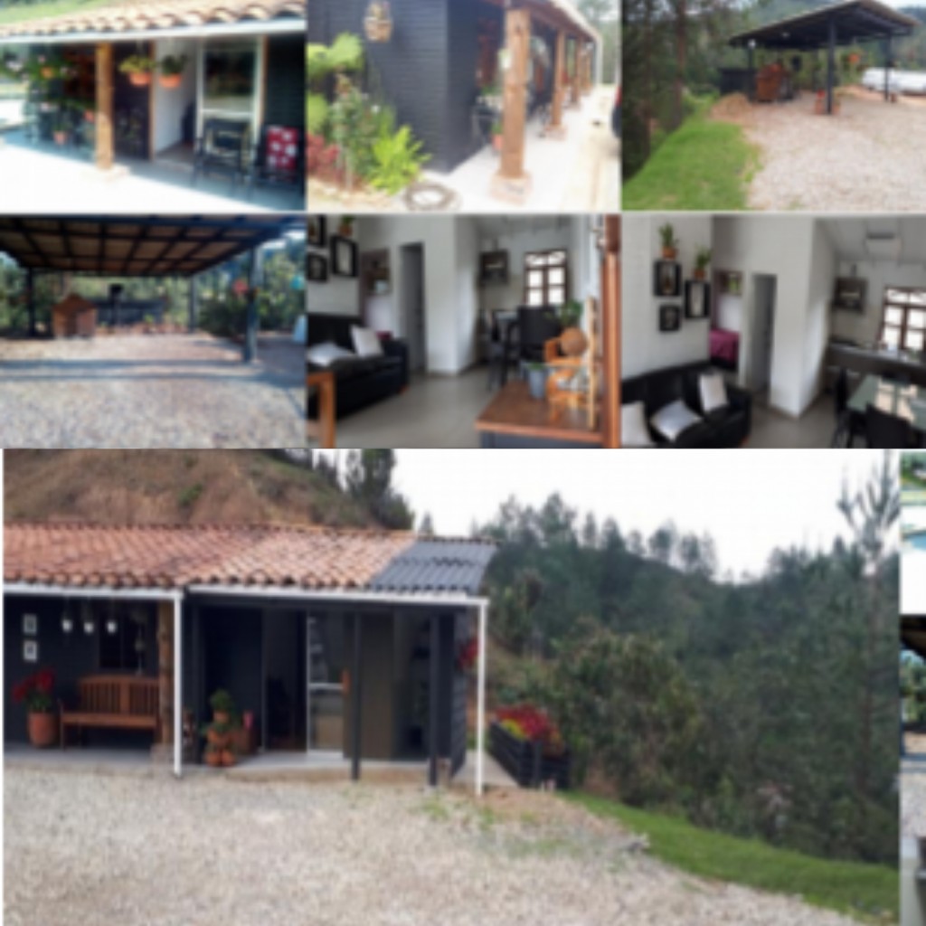 Finca (El portento-Norte de Río negro)