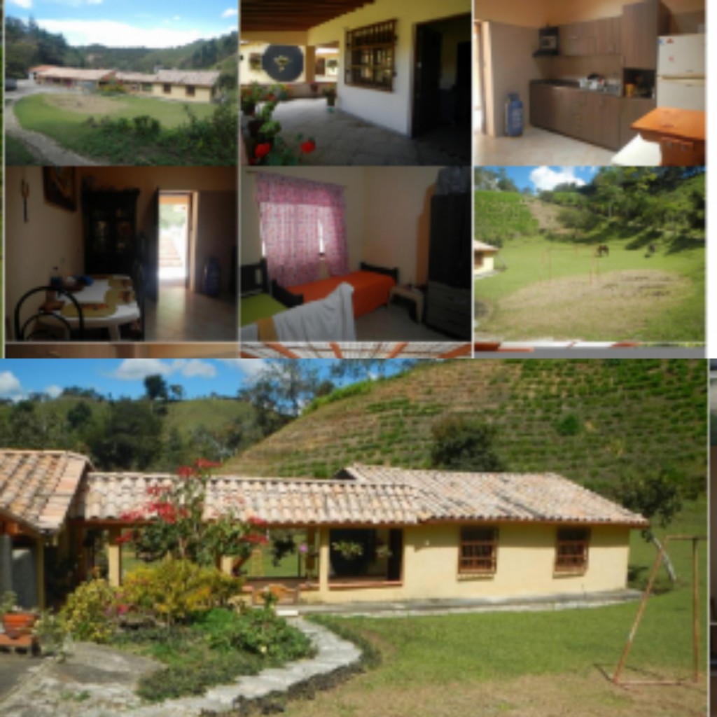 Finca (v. los puentes-oriente de San Vicente)