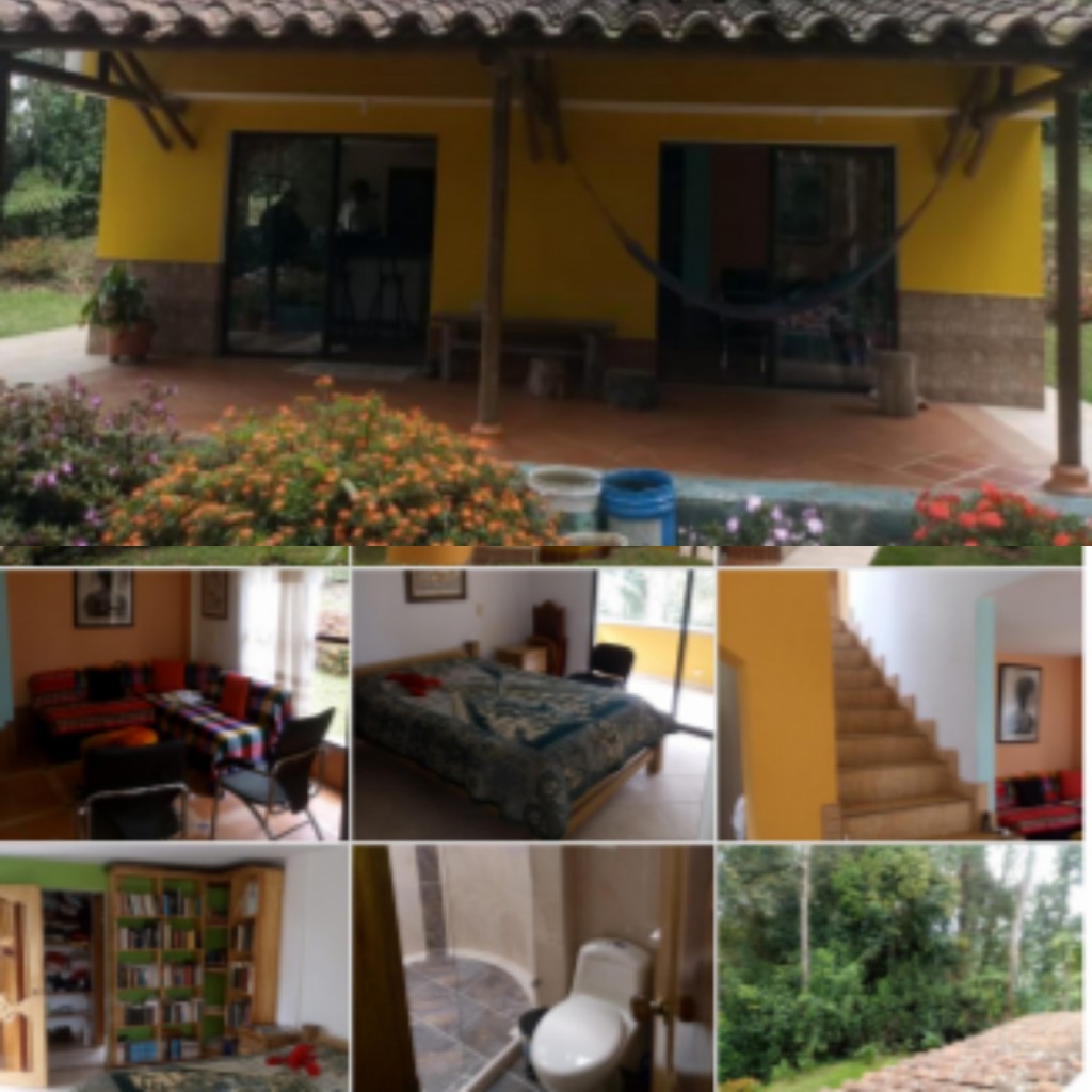Finca (llanos de San jose-occidente de heliconia)