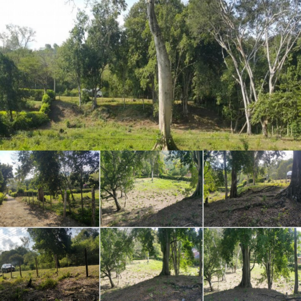Lote (San Jerónimo-santa fe de Antioquía)