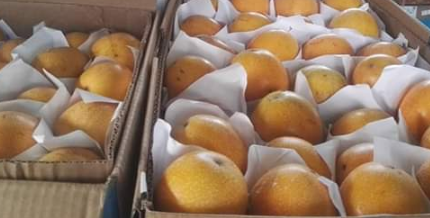 Granadilla